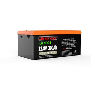 12V 300A LiFePO4 BMS Battery Packs Deep Cycle LFP Lithium Solar RV Marine Storage li-ion Battery